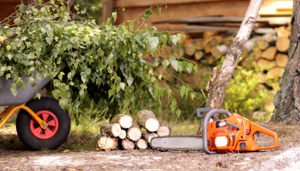 Cleanup in the garden